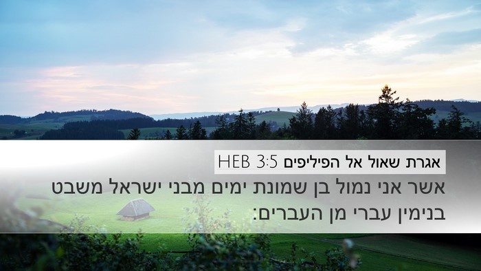 אגרת שאול אל הפיליפים 3:5 HEB Bible Verse Image