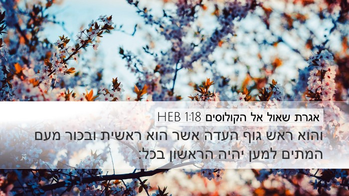 אגרת שאול אל הקולוסים 1:18 HEB Bible Verse Image