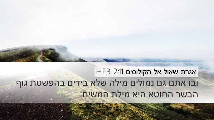 אגרת שאול אל הקולוסים 2:11 HEB Bible Verse Image