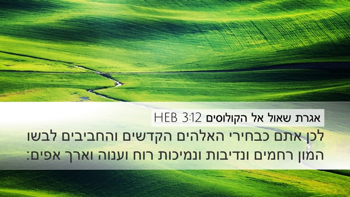 אגרת שאול אל הקולוסים 3:12 HEB Bible Verse Image