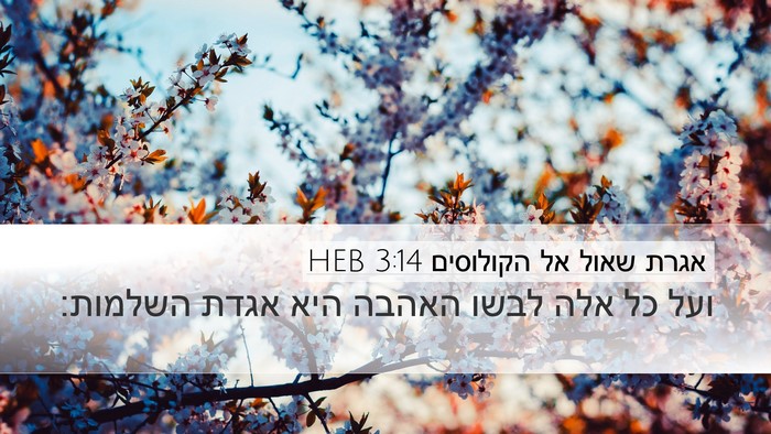 אגרת שאול אל הקולוסים 3:14 HEB Bible Verse Image