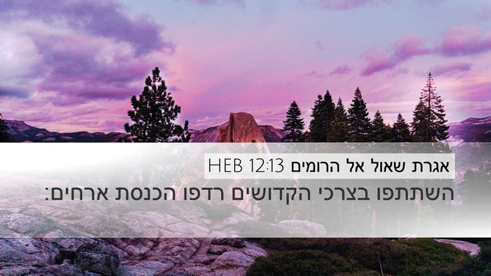 אגרת שאול אל הרומים 12:13 HEB Bible Verse Image