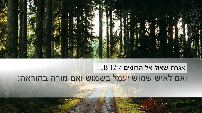 אגרת שאול אל הרומים 12:7 HEB Bible Verse Image