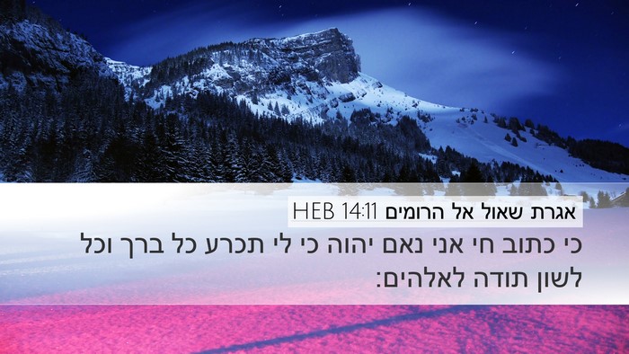 אגרת שאול אל הרומים 14:11 HEB Bible Verse Image