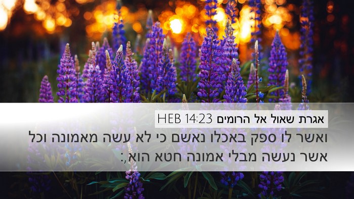 אגרת שאול אל הרומים 14:23 HEB Bible Verse Image