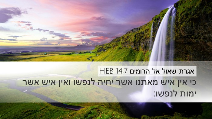 אגרת שאול אל הרומים 14:7 HEB Bible Verse Image