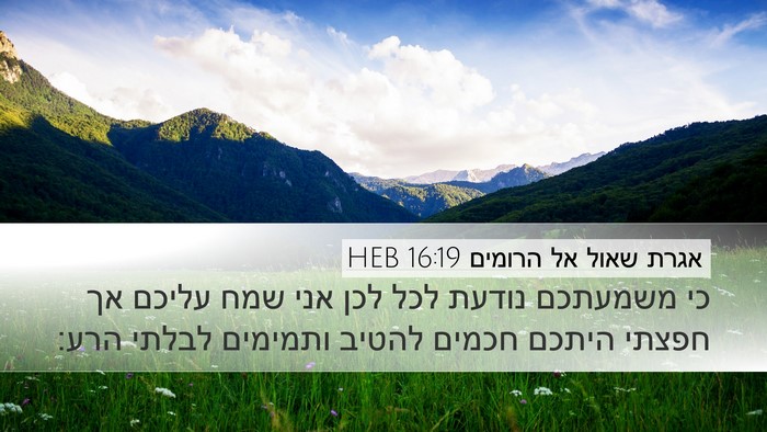 אגרת שאול אל הרומים 16:19 HEB Bible Verse Image