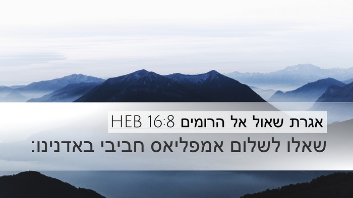 אגרת שאול אל הרומים 16:8 HEB Desktop Wallpaper - שאלו לשלום אמפליאס חביבי - Desktop Bible Verse Wallpaper