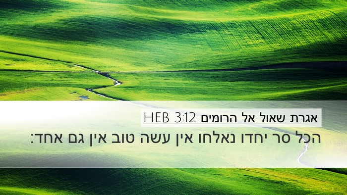 אגרת שאול אל הרומים 3:12 HEB Bible Verse Image