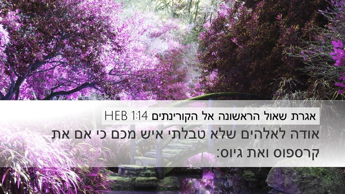 אגרת שאול הראשונה אל הקורינתים 1:14 HEB Bible Verse Image