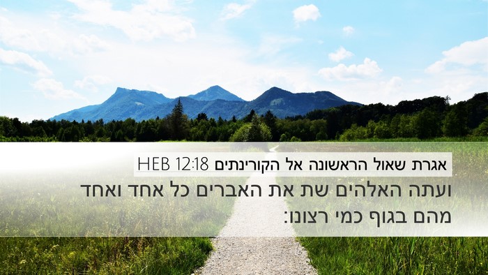 אגרת שאול הראשונה אל הקורינתים 12:18 HEB Desktop Wallpaper - ועתה האלהים שת את האברים כל - Desktop Bible Verse Wallpaper