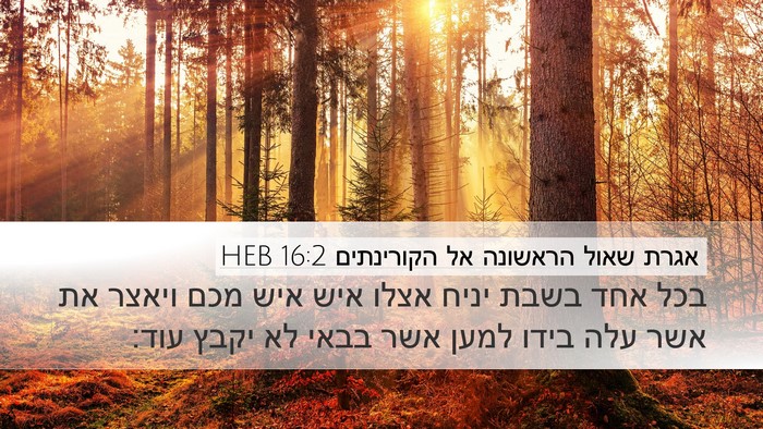 אגרת שאול הראשונה אל הקורינתים 16:2 HEB Bible Verse Image