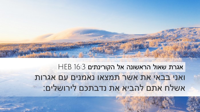 אגרת שאול הראשונה אל הקורינתים 16:3 HEB Bible Verse Image