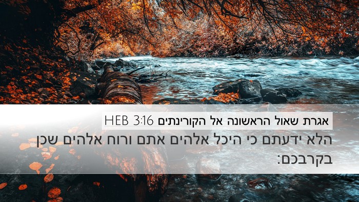 אגרת שאול הראשונה אל הקורינתים 3:16 HEB Bible Verse Image