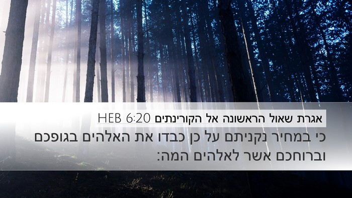 אגרת שאול הראשונה אל הקורינתים 6:20 HEB Bible Verse Image