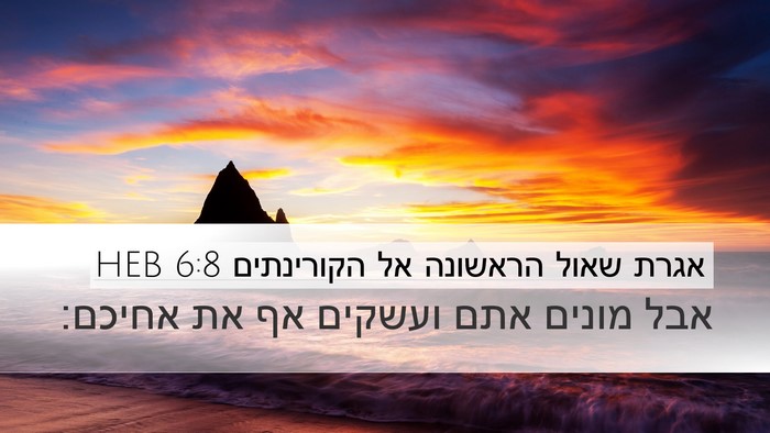אגרת שאול הראשונה אל הקורינתים 6:8 HEB Desktop Wallpaper - אבל מונים אתם ועשקים אף את - Desktop Bible Verse Wallpaper