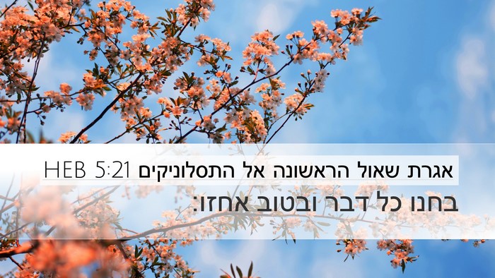 אגרת שאול הראשונה אל התסלוניקים 5:21 HEB Bible Verse Image