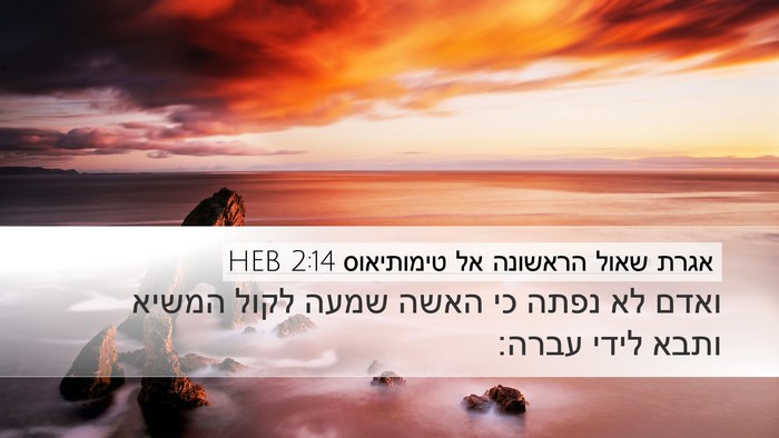 אגרת שאול הראשונה אל טימותיאוס 2:14 HEB Desktop Wallpaper - ואדם לא נפתה כי האשה שמעה - Desktop Bible Verse Wallpaper