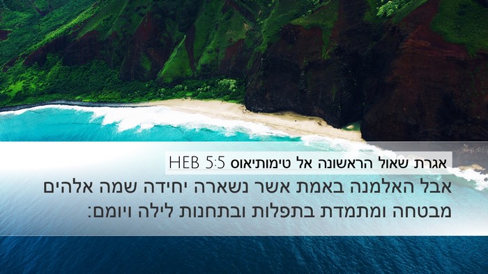 אגרת שאול הראשונה אל טימותיאוס 5:5 HEB Bible Verse Image