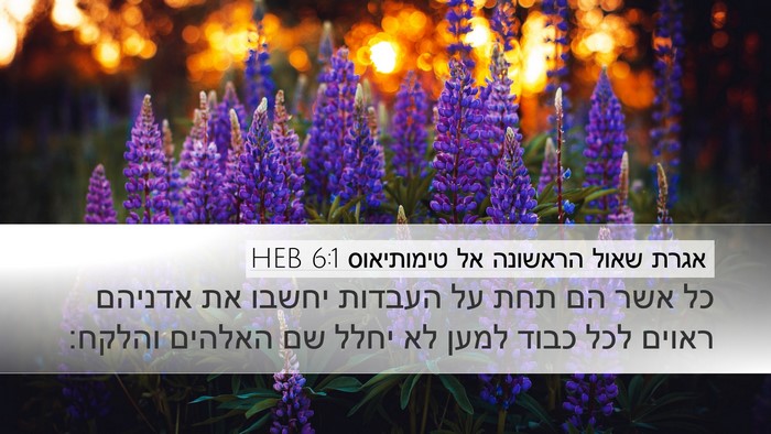 אגרת שאול הראשונה אל טימותיאוס 6:1 HEB Bible Verse Image