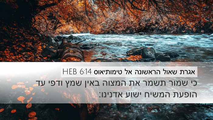 אגרת שאול הראשונה אל טימותיאוס 6:14 HEB Bible Verse Image