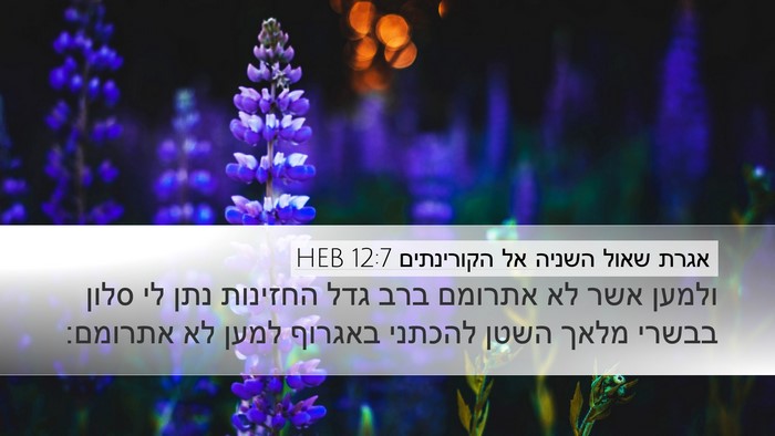 אגרת שאול השניה אל הקורינתים 12:7 HEB Bible Verse Image