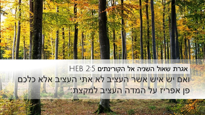 אגרת שאול השניה אל הקורינתים 2:5 HEB Desktop Wallpaper - ואם יש איש אשר העציב לא אתי - Desktop Bible Verse Wallpaper