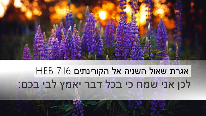 אגרת שאול השניה אל הקורינתים 7:16 HEB Desktop Wallpaper - לכן אני שמח כי בכל דבר יאמץ - Desktop Bible Verse Wallpaper