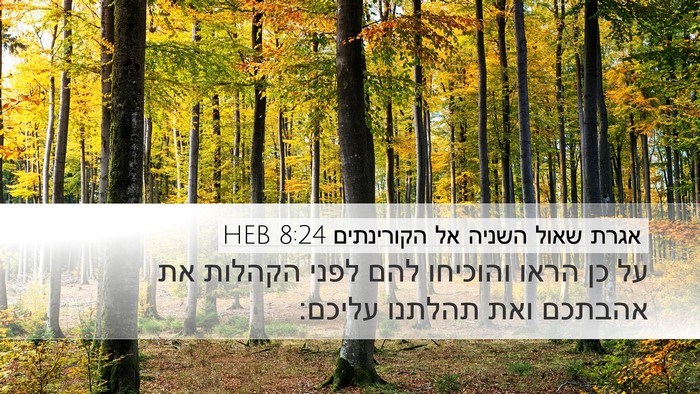 אגרת שאול השניה אל הקורינתים 8:24 HEB Bible Verse Image