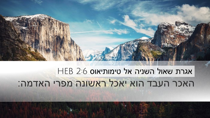 אגרת שאול השניה אל טימותיאוס 2:6 HEB Bible Verse Image