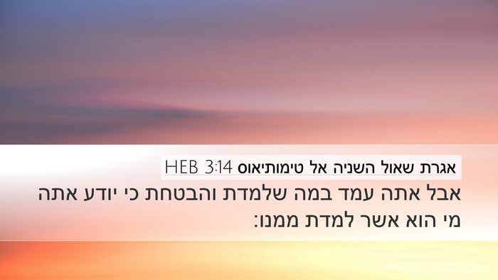 אגרת שאול השניה אל טימותיאוס 3:14 HEB Desktop Wallpaper - אבל אתה עמד במה שלמדת - Desktop Bible Verse Wallpaper