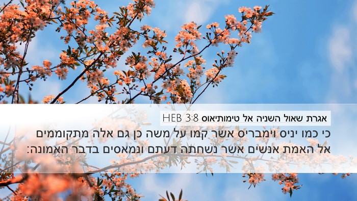 אגרת שאול השניה אל טימותיאוס 3:8 HEB Bible Verse Image