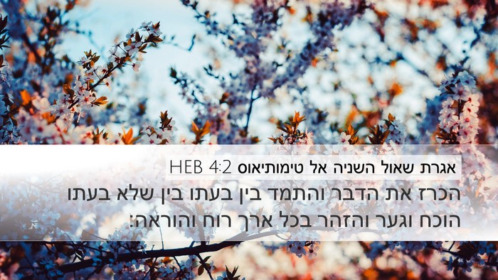 אגרת שאול השניה אל טימותיאוס 4:2 HEB Bible Verse Image