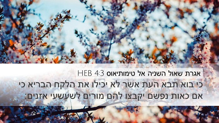 אגרת שאול השניה אל טימותיאוס 4:3 HEB Bible Verse Image