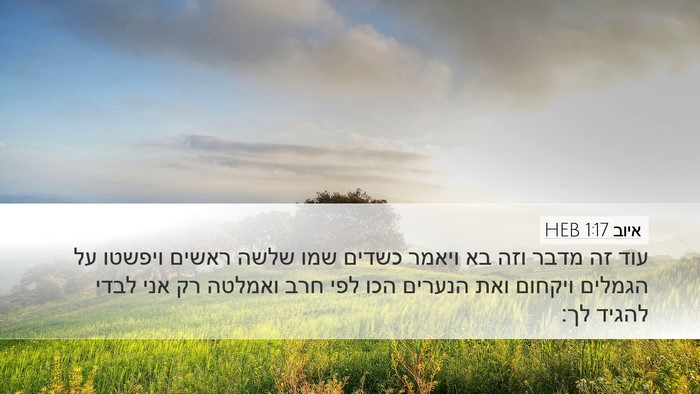 איוב 1:17 HEB Bible Verse Image