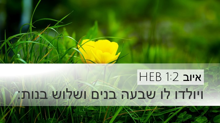 איוב 1:2 HEB Bible Verse Image