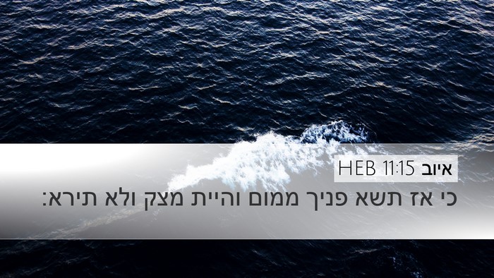 איוב 11:15 HEB Bible Verse Image