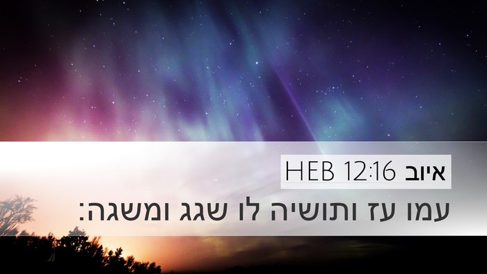 איוב 12:16 HEB Bible Verse Image