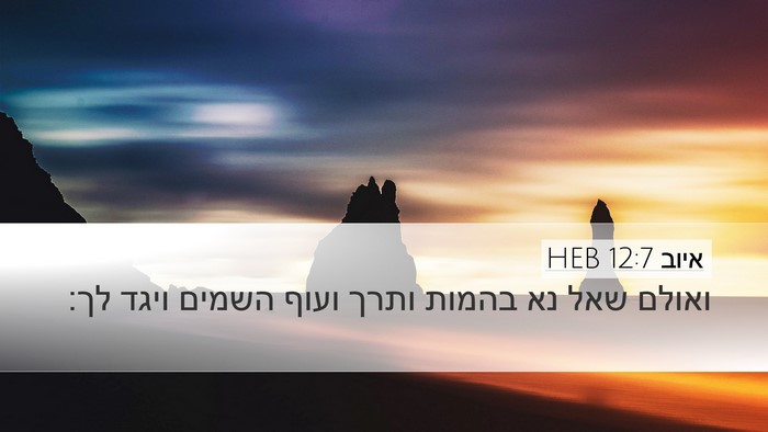 איוב 12:7 HEB Bible Verse Image