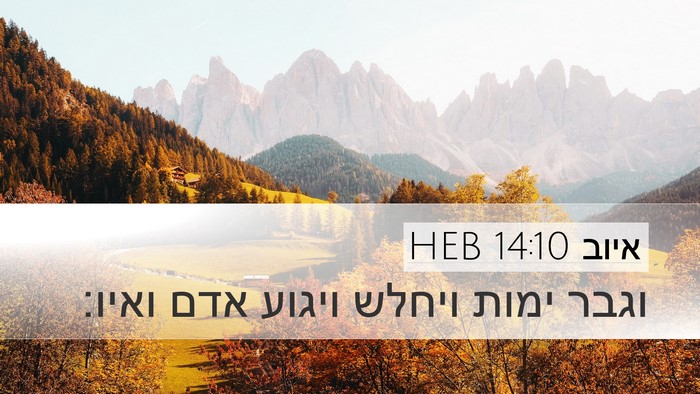 איוב 14:10 HEB Bible Verse Image