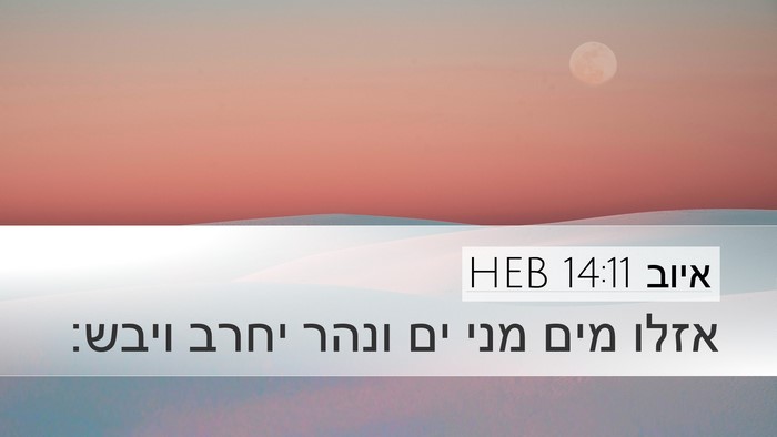 איוב 14:11 HEB Desktop Wallpaper - אזלו מים מני ים ונהר יחרב - Desktop Bible Verse Wallpaper