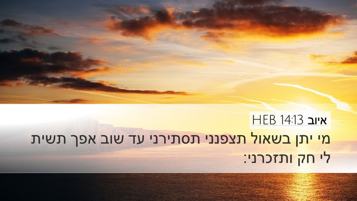 איוב 14:13 HEB Bible Verse Image