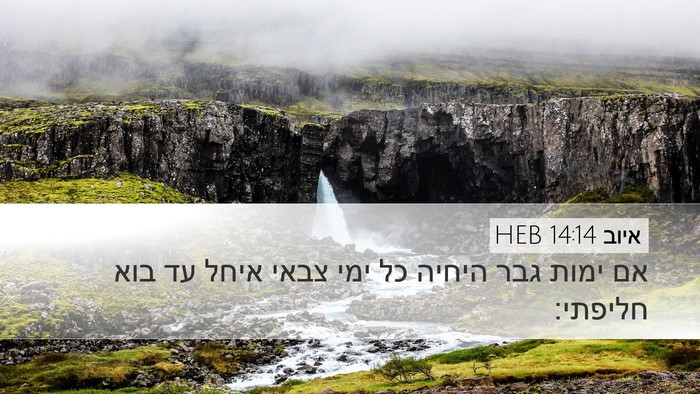 איוב 14:14 HEB Bible Verse Image