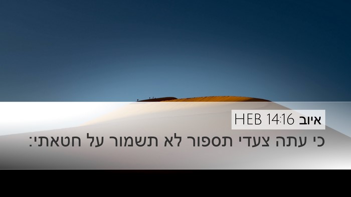 איוב 14:16 HEB Bible Verse Image