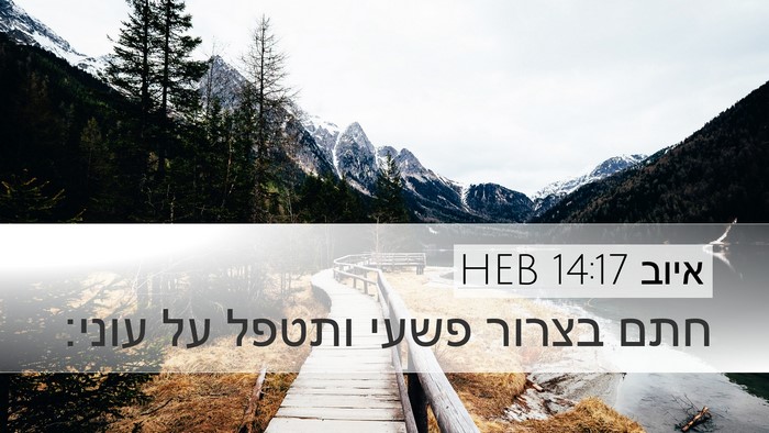 איוב 14:17 HEB Bible Verse Image