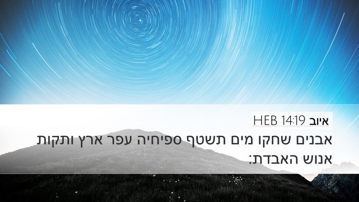 איוב 14:19 HEB Bible Verse Image