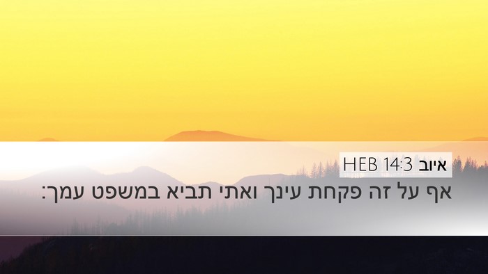 איוב 14:3 HEB Bible Verse Image