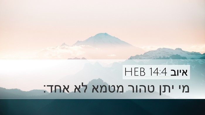 איוב 14:4 HEB Bible Verse Image
