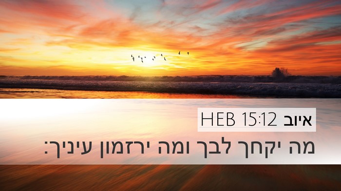 איוב 15:12 HEB Bible Verse Image