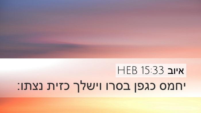 איוב 15:33 HEB Desktop Wallpaper - יחמס כגפן בסרו וישלך כזית - Desktop Bible Verse Wallpaper